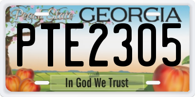GA license plate PTE2305