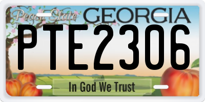GA license plate PTE2306