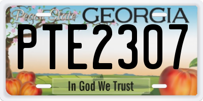 GA license plate PTE2307