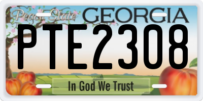 GA license plate PTE2308