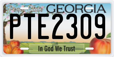 GA license plate PTE2309