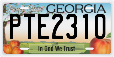 GA license plate PTE2310