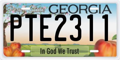 GA license plate PTE2311
