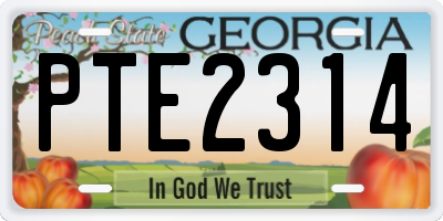 GA license plate PTE2314