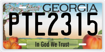 GA license plate PTE2315