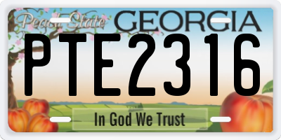 GA license plate PTE2316