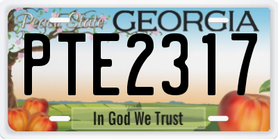 GA license plate PTE2317