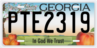GA license plate PTE2319