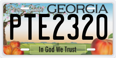 GA license plate PTE2320