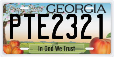 GA license plate PTE2321
