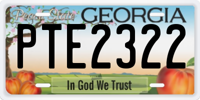 GA license plate PTE2322