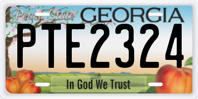 GA license plate PTE2324