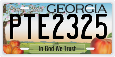 GA license plate PTE2325