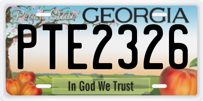 GA license plate PTE2326