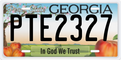 GA license plate PTE2327