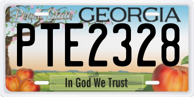 GA license plate PTE2328