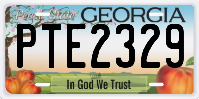 GA license plate PTE2329