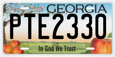 GA license plate PTE2330