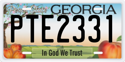 GA license plate PTE2331