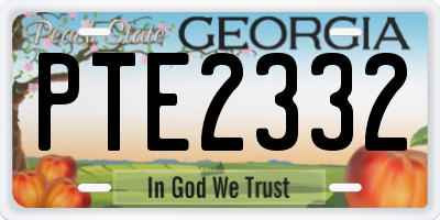 GA license plate PTE2332