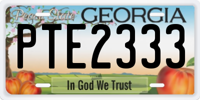 GA license plate PTE2333