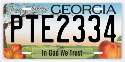 GA license plate PTE2334