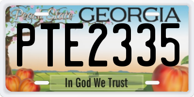 GA license plate PTE2335