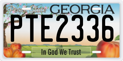 GA license plate PTE2336