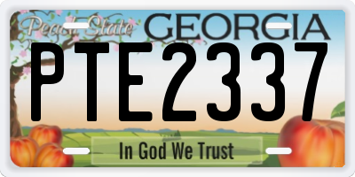 GA license plate PTE2337