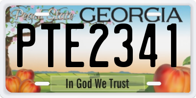 GA license plate PTE2341