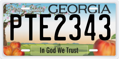 GA license plate PTE2343