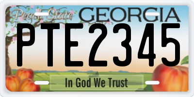 GA license plate PTE2345