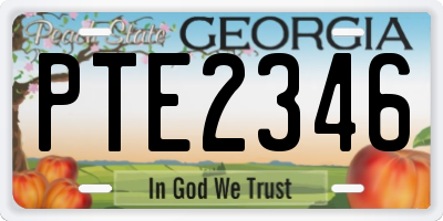 GA license plate PTE2346