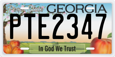 GA license plate PTE2347