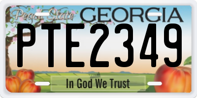 GA license plate PTE2349