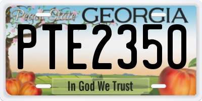 GA license plate PTE2350
