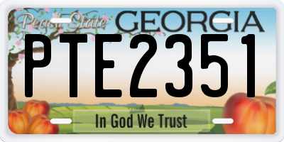 GA license plate PTE2351