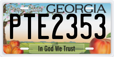GA license plate PTE2353