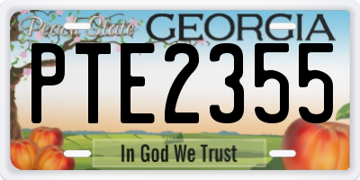 GA license plate PTE2355