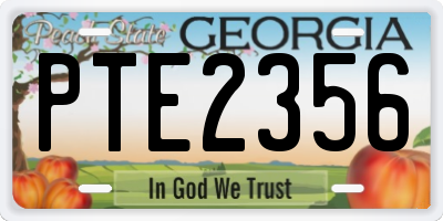 GA license plate PTE2356