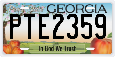GA license plate PTE2359