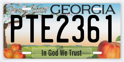 GA license plate PTE2361