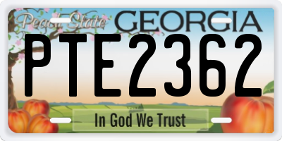 GA license plate PTE2362