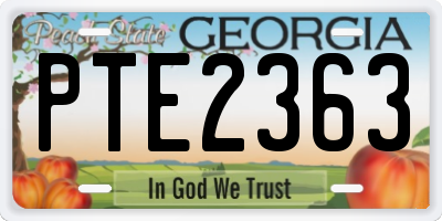 GA license plate PTE2363