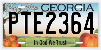 GA license plate PTE2364