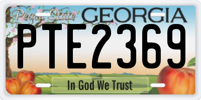 GA license plate PTE2369