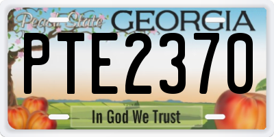 GA license plate PTE2370
