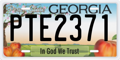 GA license plate PTE2371