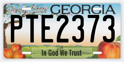 GA license plate PTE2373