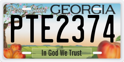 GA license plate PTE2374